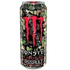 Dark Slate Gray Monster - Energy Assault (500ml) incl statiegeld